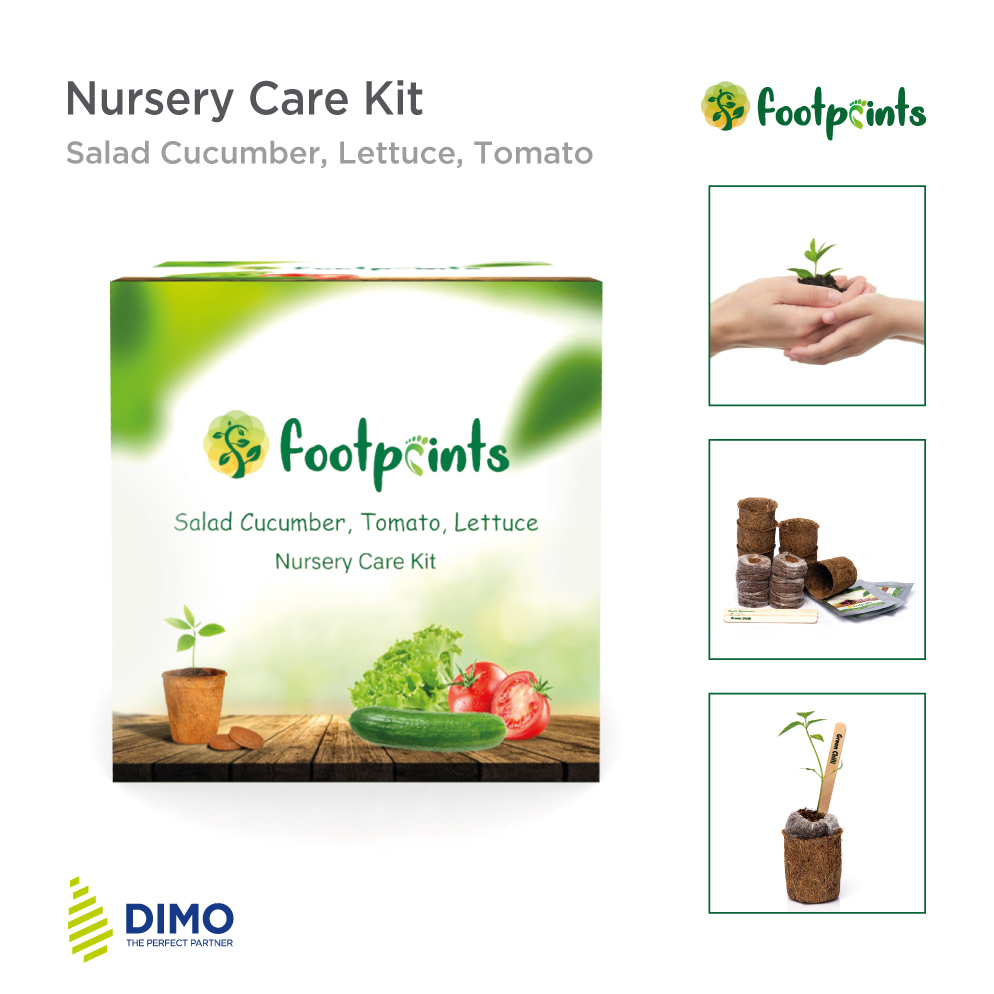 Footprints_Nursery-Care-Kit—Salad-Cucumber,-Lettuce,-Tomato
