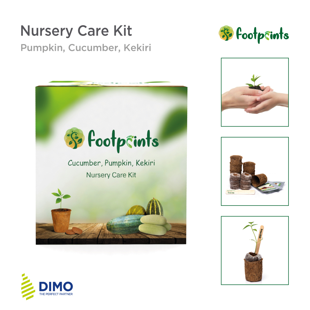 a-Nursery-Care-Kit-Pumpkin-Cucumber-Kekiri0.jpg
