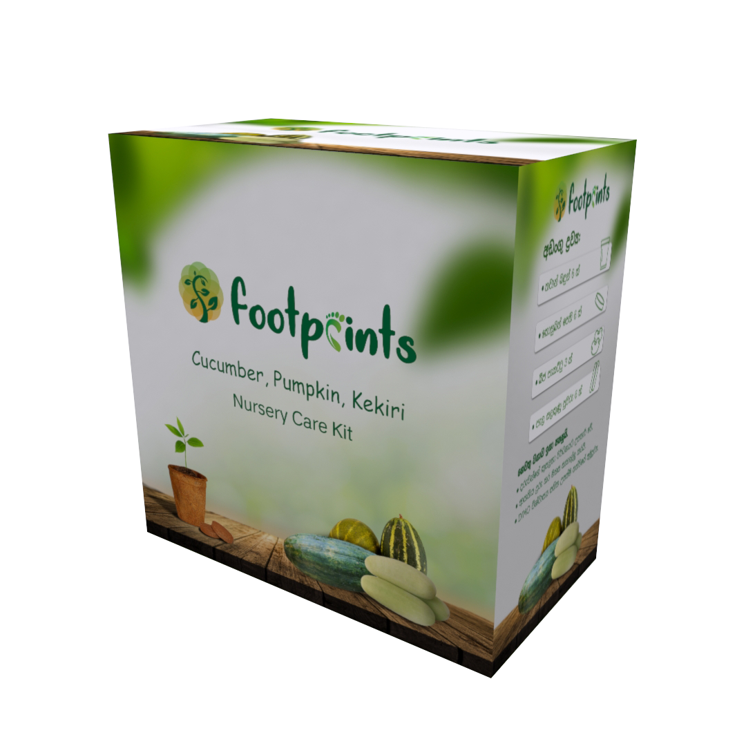 a-Nursery-Care-Kit-Pumpkin-Cucumber-Kekiri3.png